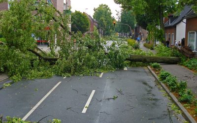 N.Y.: Defining windstorms in New York homeowners insurance
