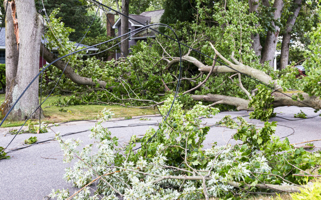 What to know about New York’s windstorm policies