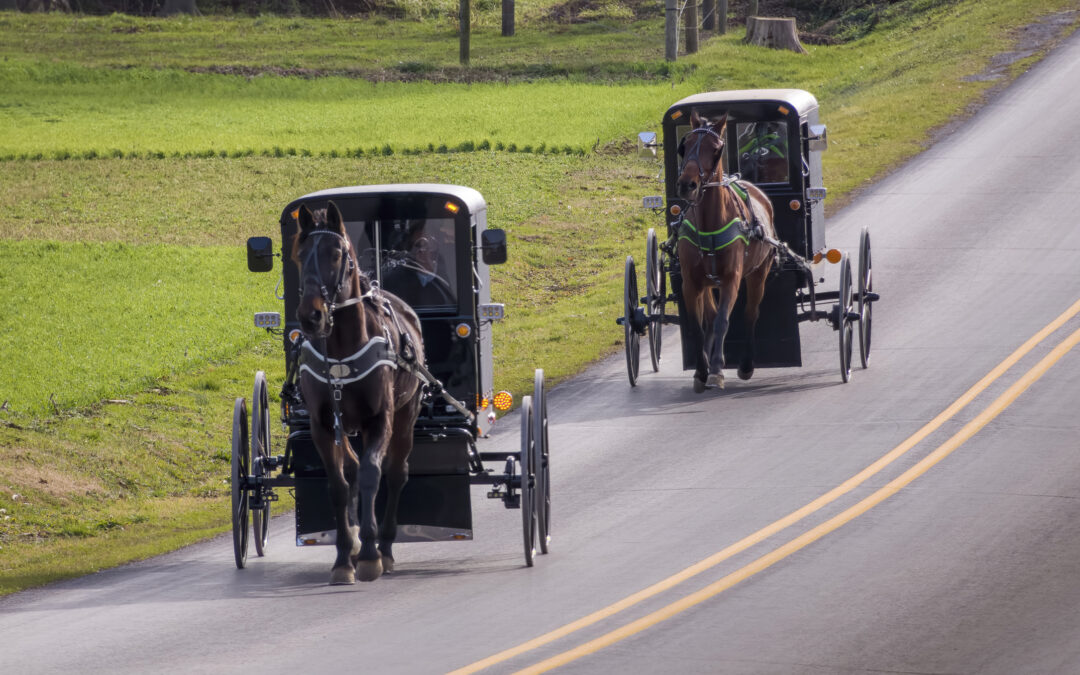 Enhancing safety and insurance for horse-drawn buggies on New York roads