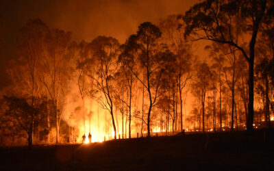 The year-round wildfire season: Help your clients manage a possible new threat
