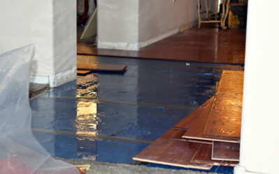 Sewer backup insurance and you
