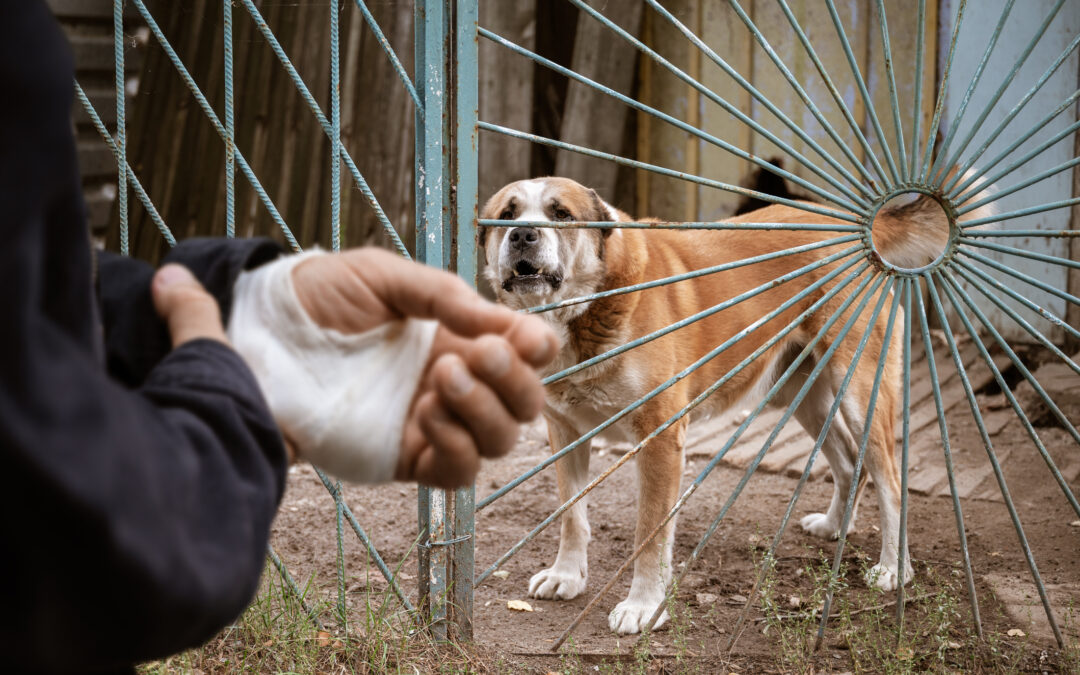 N.Y. court expands liability for dog bites: What producers need to know 