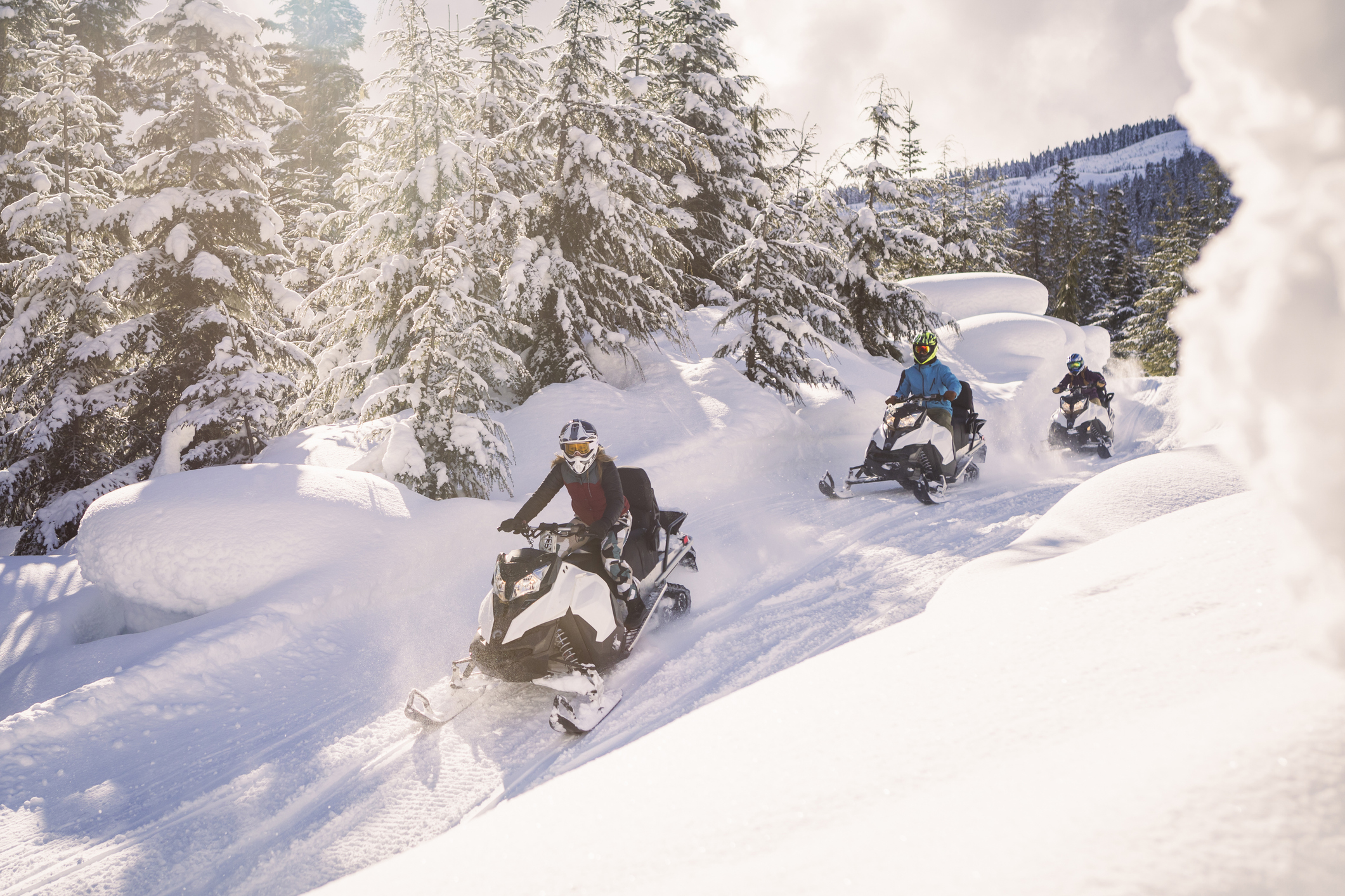 Snowmobilers ride through fresh snow in forest, Whistler