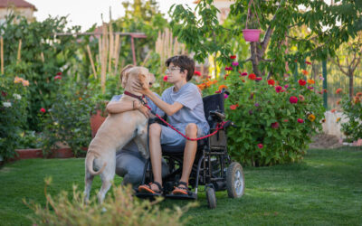 PIACT recommends technical fixes to bill for service-animal protections