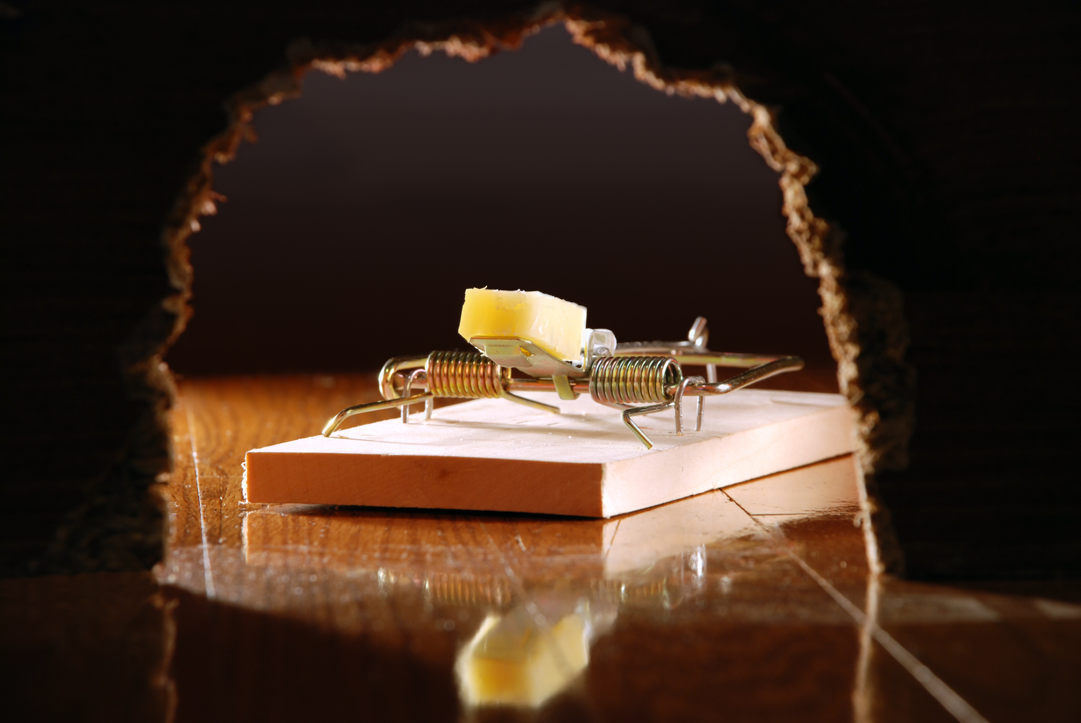 Mouse Trap and Cheese Seen Through Wall Hole